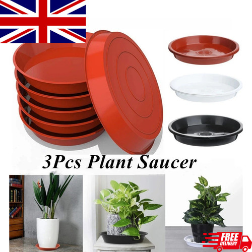 Plant pot saucers round - plant, |
