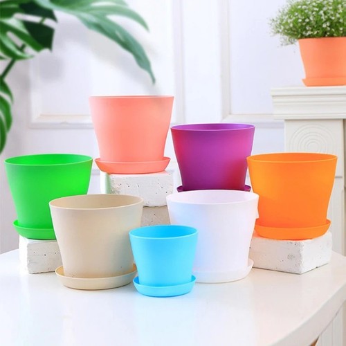 Plant pots flower planter - plant,