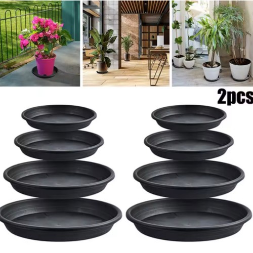 Plant pot saucers - plant,