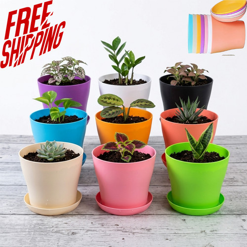 Plant flower pot plastic - plant,