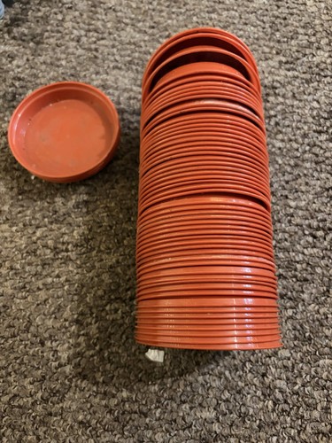 9cm plant saucer - plant,