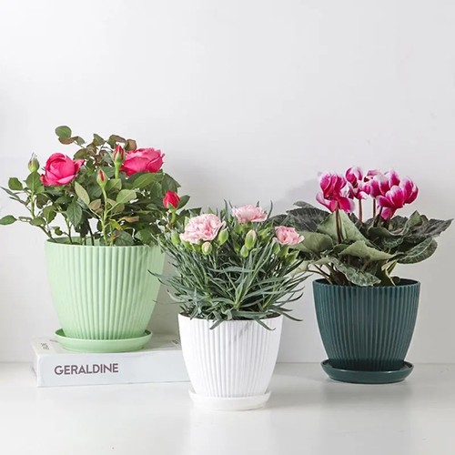 Plant pots flower - plant,