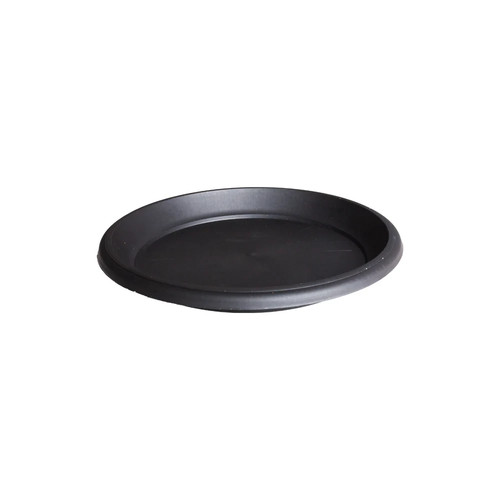 Round saucer shallow plant - round,