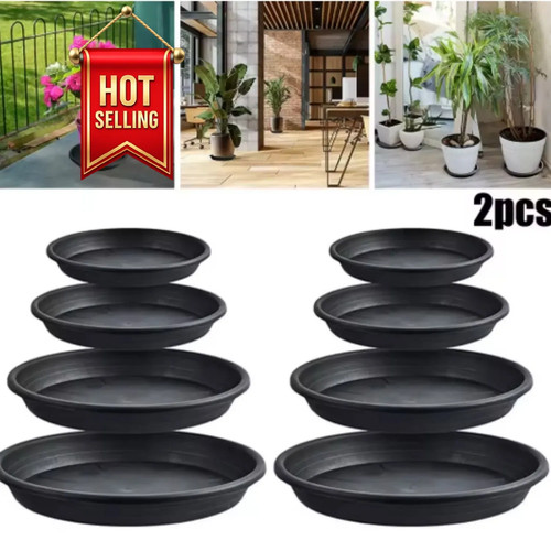 Plant pot saucers round - plant,