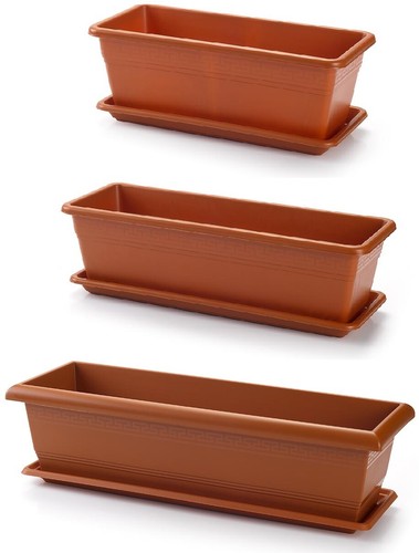 Terracotta trough plant pot - plant,