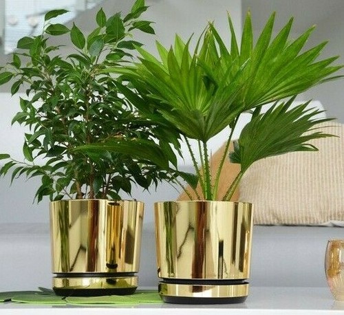 Korad indoor mirror gold plant - korad,