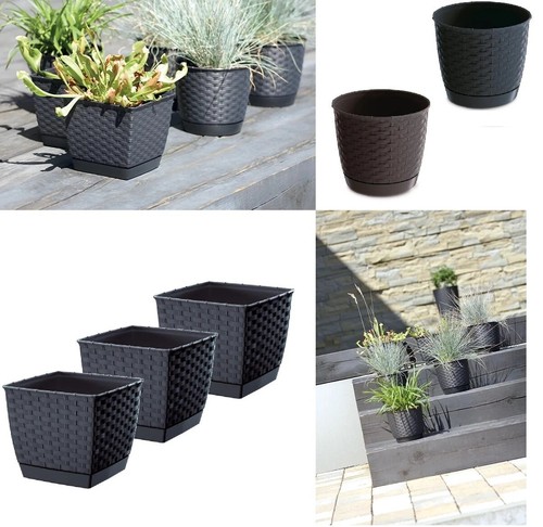 Plant flower pot square - plant,