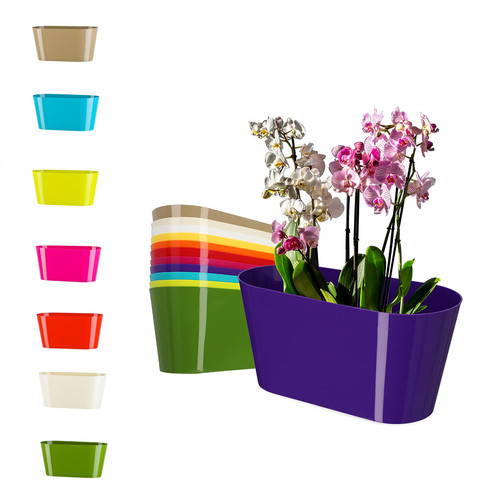 Plant flower pot plastic - plant,