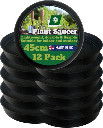 Pack black plant - 12,