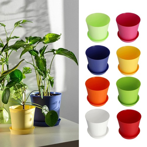 Plant flower pot plastic - plant,