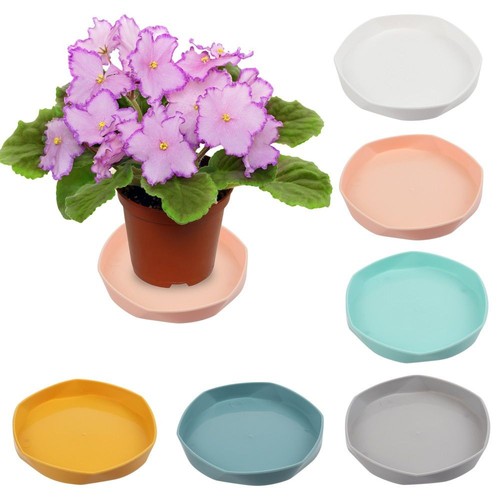 Plant pot saucers round - pot,