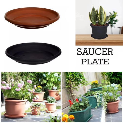 Plastic saucer base round - saucer,