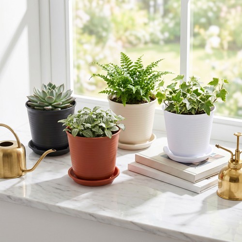 4pcs mini plant pots flower - mini,