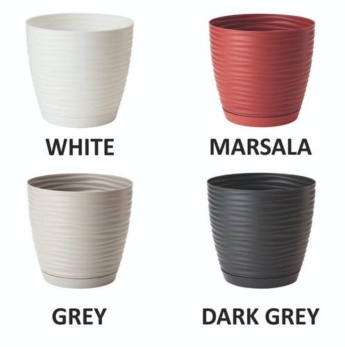 Spring sale flower - spring, pots