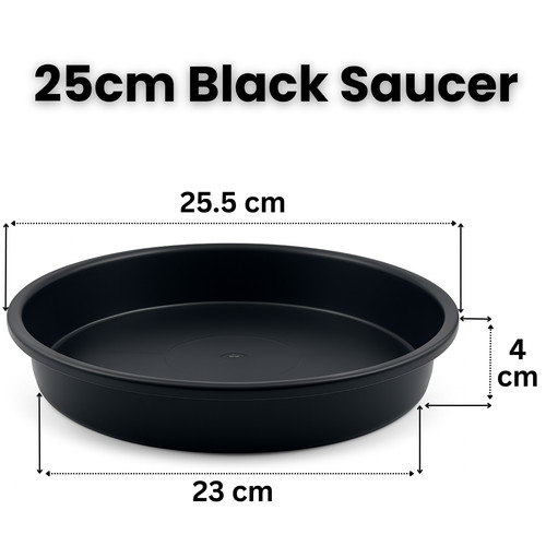 25cm round black - 25cm, plant