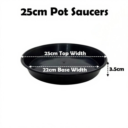 25cm plant pot - 25cm,