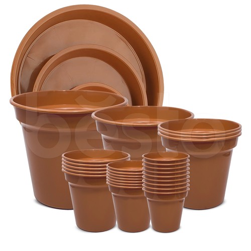 Plant flower plastic pot - flower,