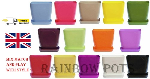 Plastic flower plant pots - plastic,