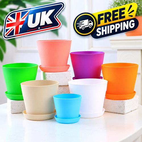 Plant flower pot - flower, plastic