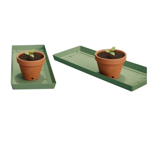 Plant pot saucer - plant,