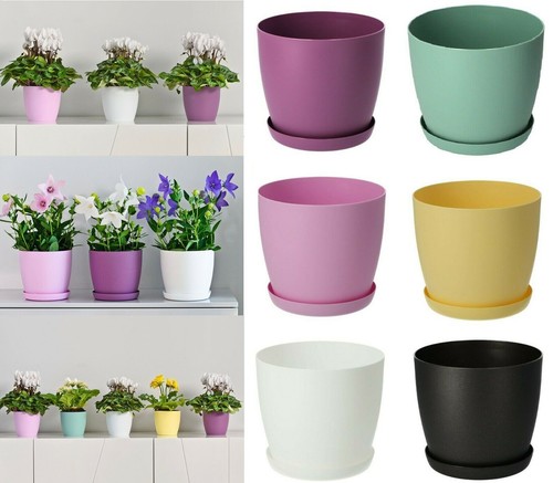 Plant pots flower - pots,