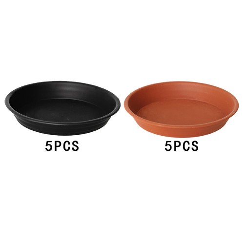 Plant saucers flower pot - plant,