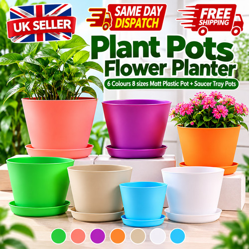 Plant pots flower - plant,