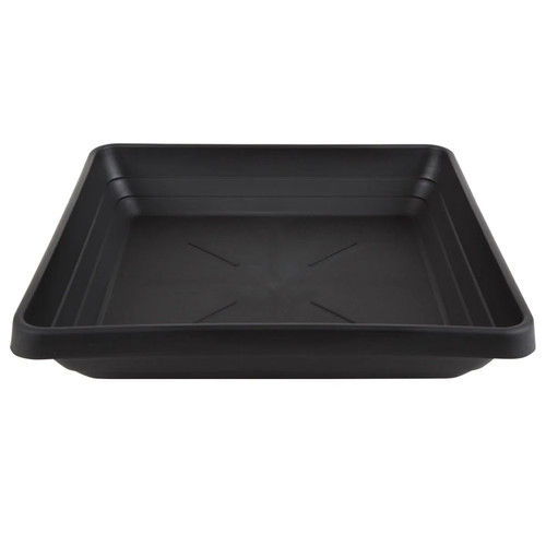 Square saucer plant pot - plant,