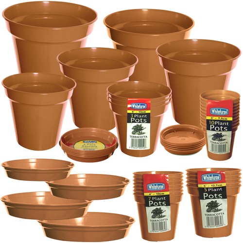 Packs plastic terracotta - of,