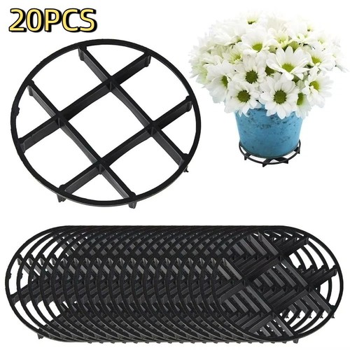 20pcs anti rot root - 20pcs, flower