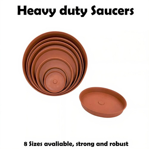 Plant pot saucer - pot, watering