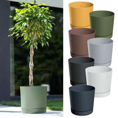 Plant pot with saucer - plant, indoor